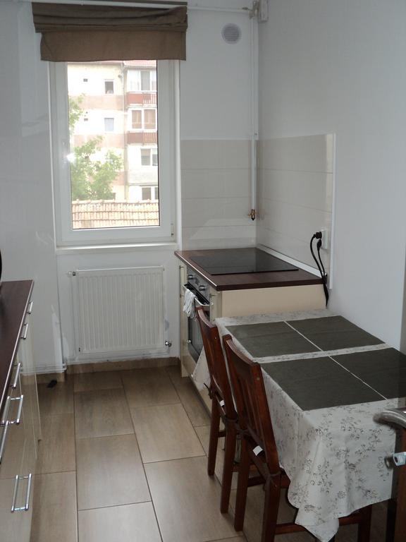 Joy Apartment Timisoara Exterior foto