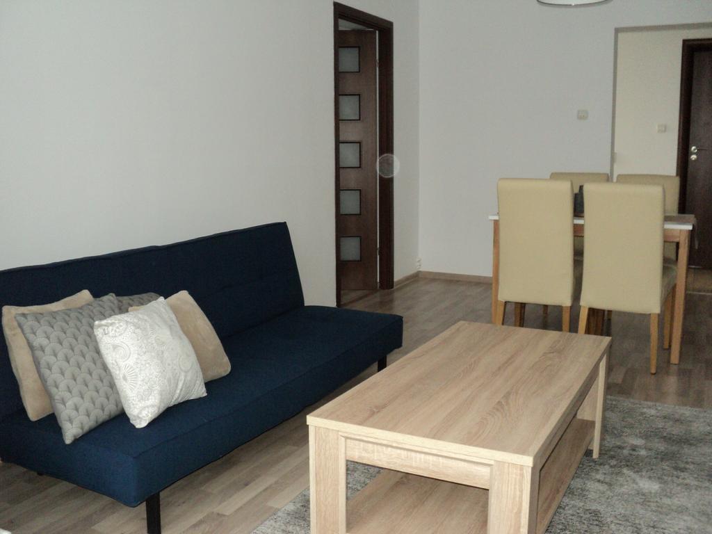 Joy Apartment Timisoara Exterior foto