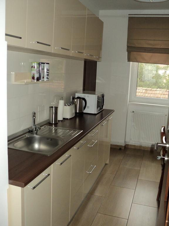 Joy Apartment Timisoara Exterior foto