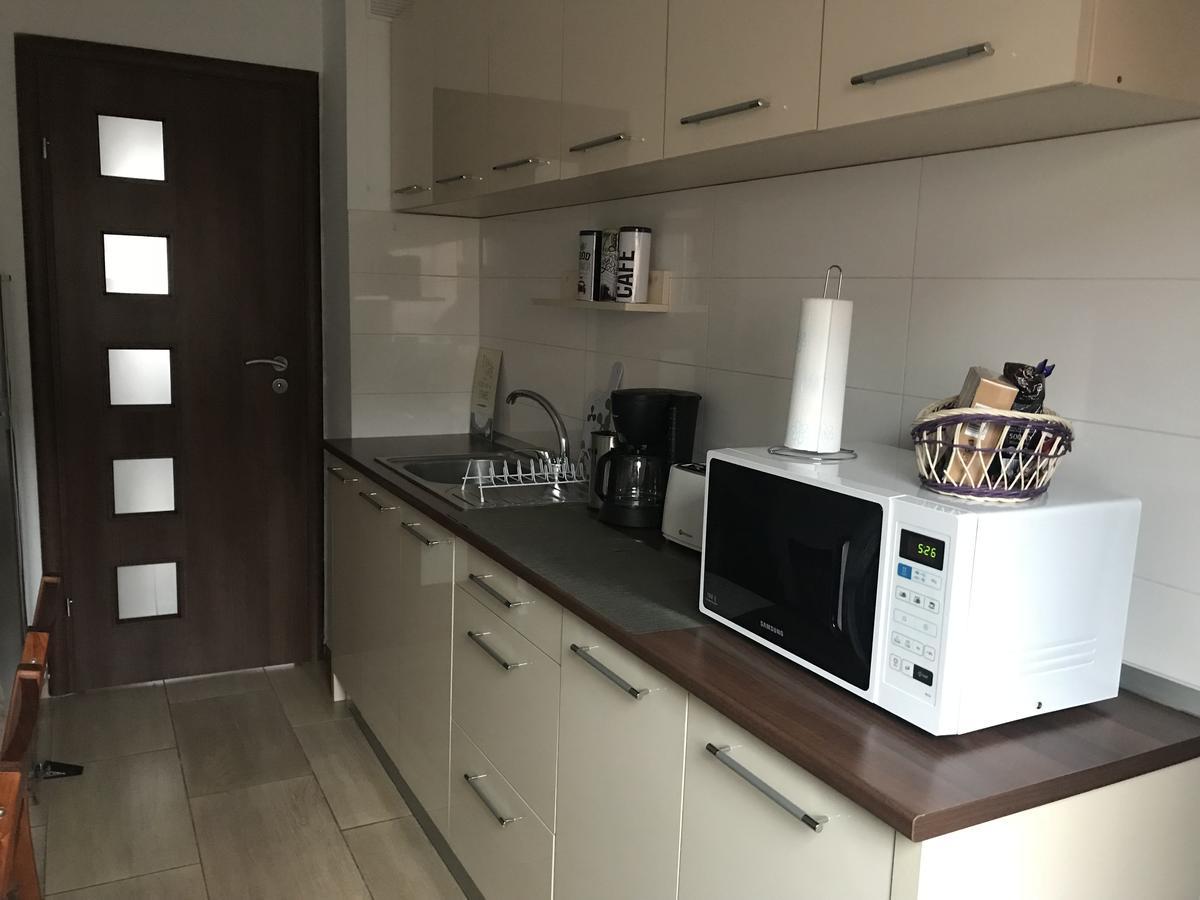 Joy Apartment Timisoara Exterior foto